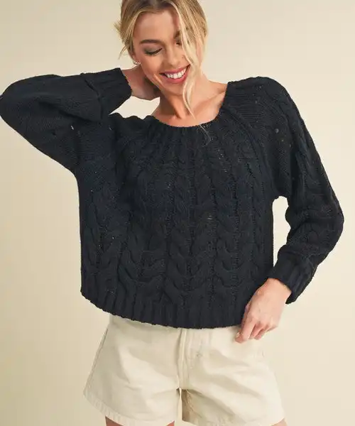 Aemi + Co Cable-Knit Openwork Round Neck Sweater