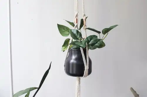 Macrame Plant Hanger, Hanging Planter, Cotton, - Image 2