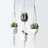 Plant Hanger, Macrame Plant Holder