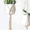 Plant Hanger, Macrame Plant Holder - Image 2