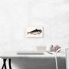 Cat Fish - Image 2
