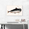 Cat Fish - Image 4
