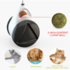 Tumbler Balanced Wheel Swinging Ball Cat Toy - Image 6