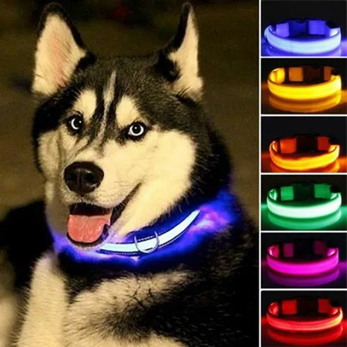 product-image-1426417605_c1a0dbc4-c7e1-491a-b1ae-85dce6c46db8.jpg 2 PCS Set Nylon LED Dog Collar