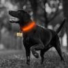 2 PCS Set Nylon LED Dog Collar - Image 6