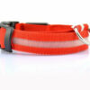 2 PCS Set Nylon LED Dog Collar - Image 5