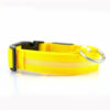 2 PCS Set Nylon LED Dog Collar - Image 2