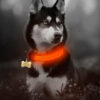 2 PCS Set Nylon LED Dog Collar - Image 8